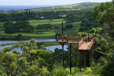 Koloa Zipline in Kauai