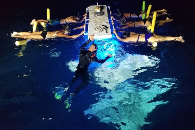 KONA Manta Ray Night Snorkel - FREE re-ride if no Sightings - Key points to know before booking