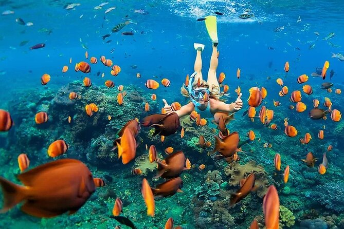 Kona Snorkel Tour: Captain Cook Reef Snorkel, Dolphin & Sea Caves - What the snorkeling equipment is really like