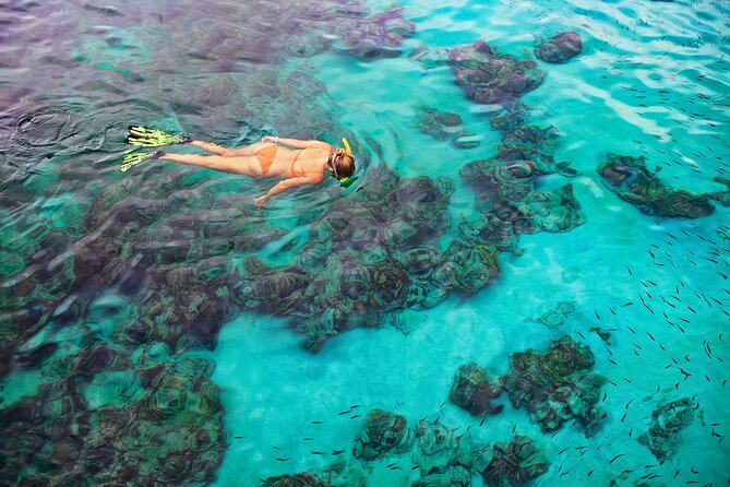 Kona Snorkel Tour: Captain Cook Reef Snorkel, Dolphin & Sea Caves - Sea caves, coves, and the slower ride home