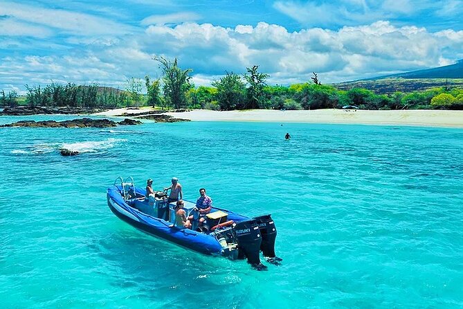 Kona Snorkel Tour: Captain Cook Reef Snorkel, Dolphin & Sea Caves - Dolphins and whales: keep expectations realistic