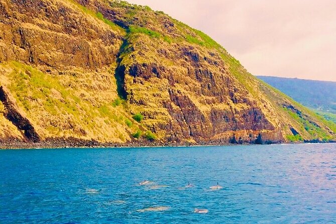 Kona Snorkel Tour: Captain Cook Reef Snorkel, Dolphin & Sea Caves - What the $71.10 price includes