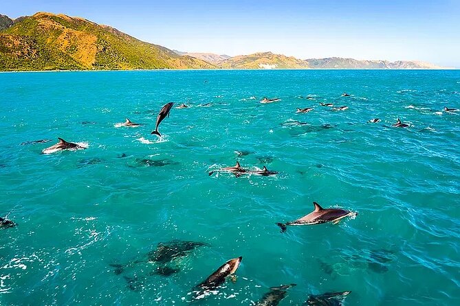 Kona Snorkel Tour: Captain Cook Reef Snorkel, Dolphin & Sea Caves - Reaching Kealakekua Bay and the Captain Cook Monument