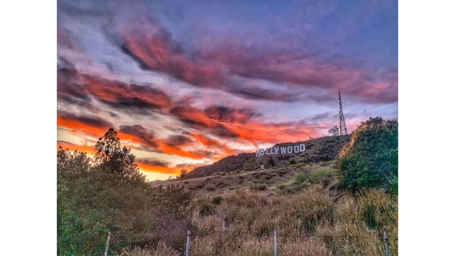 LA: Hollywood Sign Tour with Comedians, Dogs, & Epic Photos - Continuing behind the sign for wider views