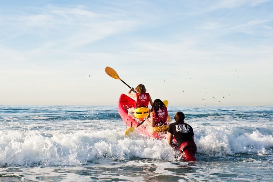 La Jolla: 2-Hour Kayak Tour of the 7 Caves - Looking for leopard sharks and sea lions