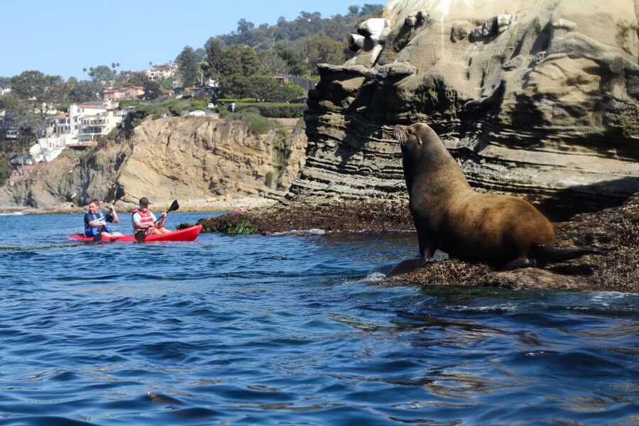 La Jolla: 2-Hour Kayak Tour of the 7 Caves - Is $80 for two a fair price?