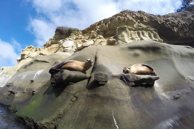 La Jolla Sea Caves Kayak Tour For Two (Tandem Kayak) - Learning to paddle before the launch