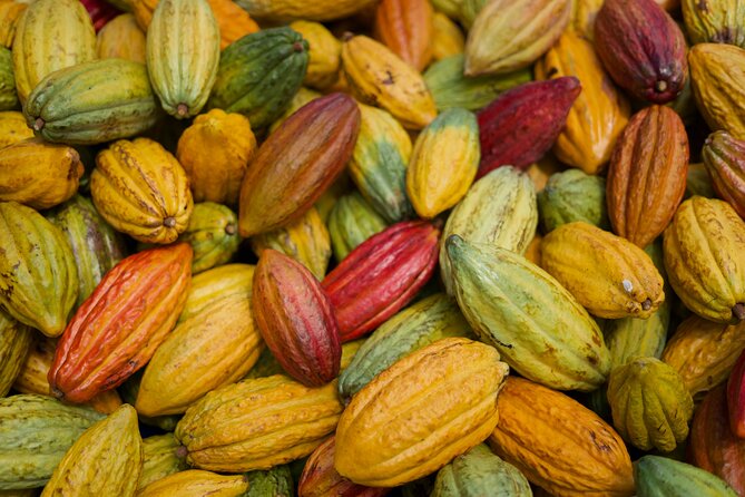 Lahaina: Maui Ku'ia Estate Guided Cacao Farm Tour and Tasting - Is $99.48 a Fair Price?