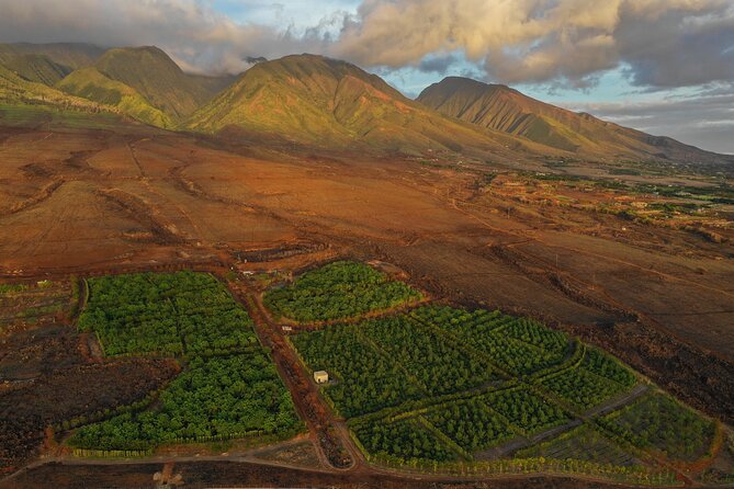 Lahaina: Maui Ku'ia Estate Guided Cacao Farm Tour and Tasting - Group Size, Comfort, and Accessibility