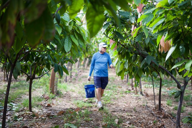 Lahaina: Maui Ku'ia Estate Guided Cacao Farm Tour and Tasting - Who Will Enjoy This Maui Chocolate Tour?