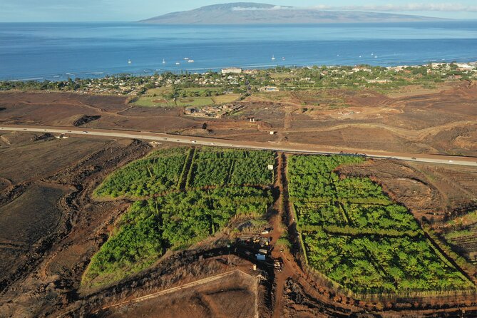 Lahaina: Maui Ku'ia Estate Guided Cacao Farm Tour and Tasting - Seeing How Cacao Becomes Chocolate