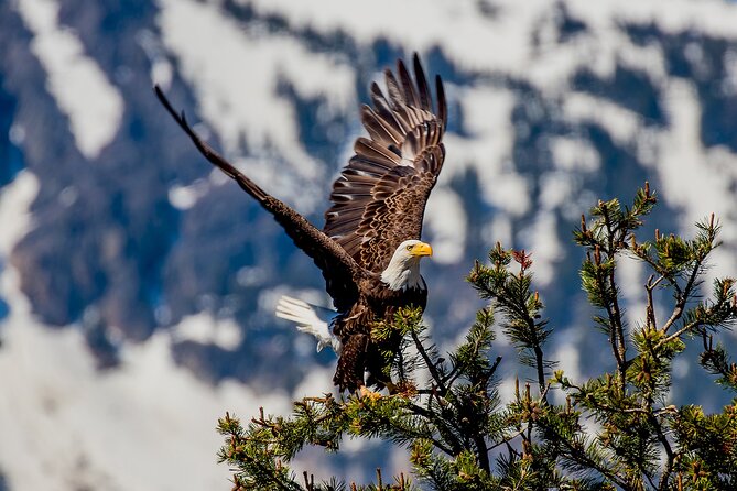 Lake Tahoe Small-Group Photography Scenic Half-Day Tour - A close look at the $195 price
