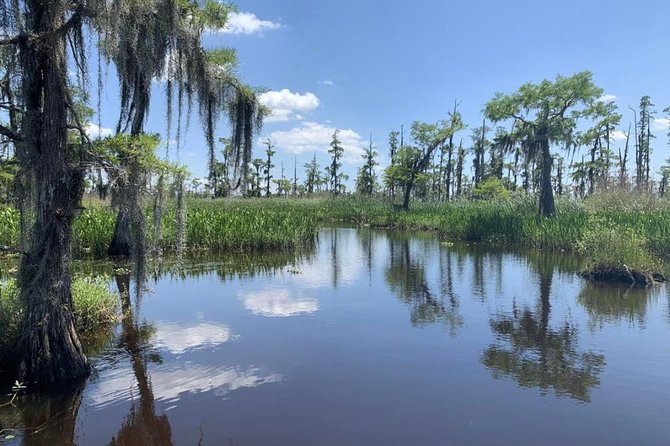 Large Airboat Swamp Tour with Transportation from New Orleans - Is the $90 price worth it?