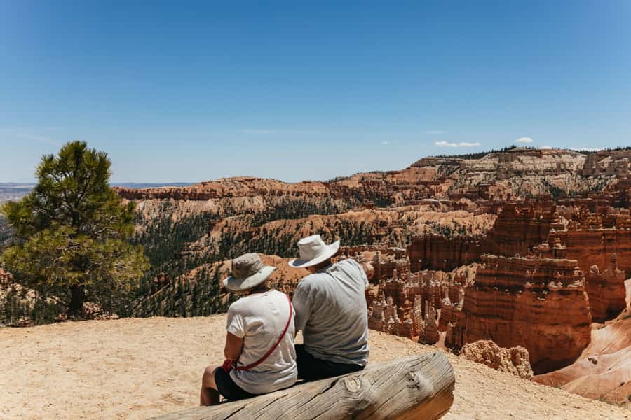 Las Vegas: Bryce and Zion National Parks Tour with Lunch - Zion’s cliffs, tunnel, and Checkerboard Mesa