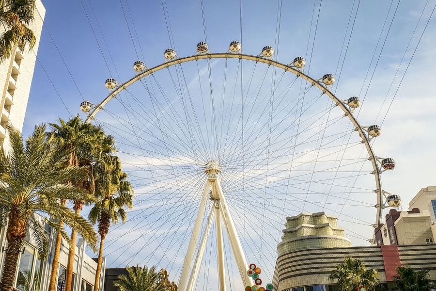 Las Vegas: FLY LINQ Zipline Ticket - Age, size, and family rules
