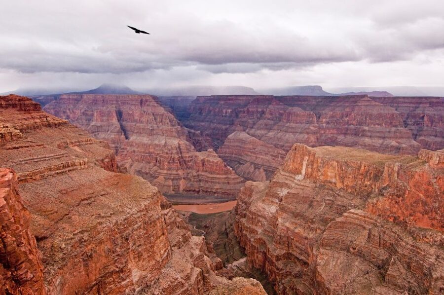 Las Vegas: Grand Canyon Helicopter Landing Tour - Flying over Lake Mead and Hoover Dam