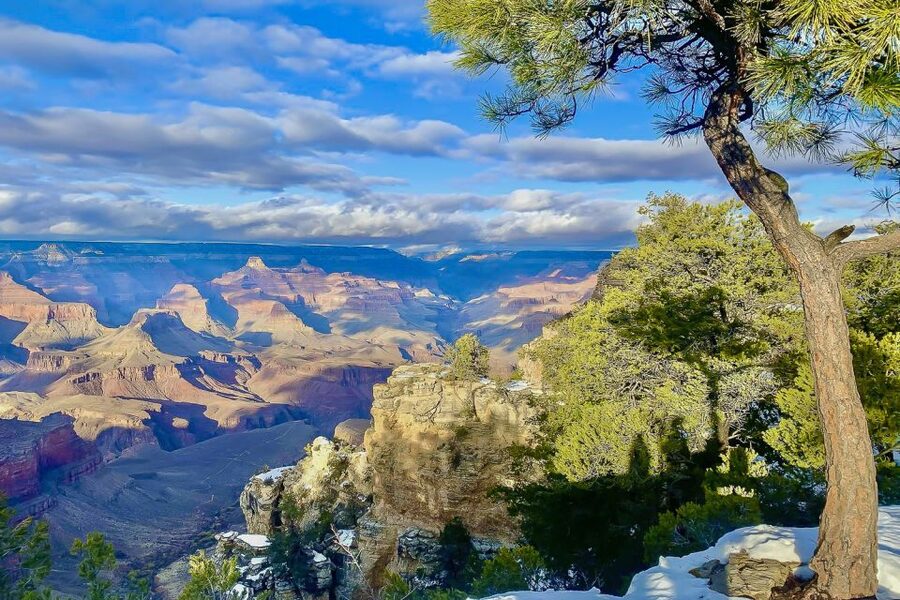 Las Vegas: Grand Canyon National Park South Rim Guided Tour - What the $150 price really buys