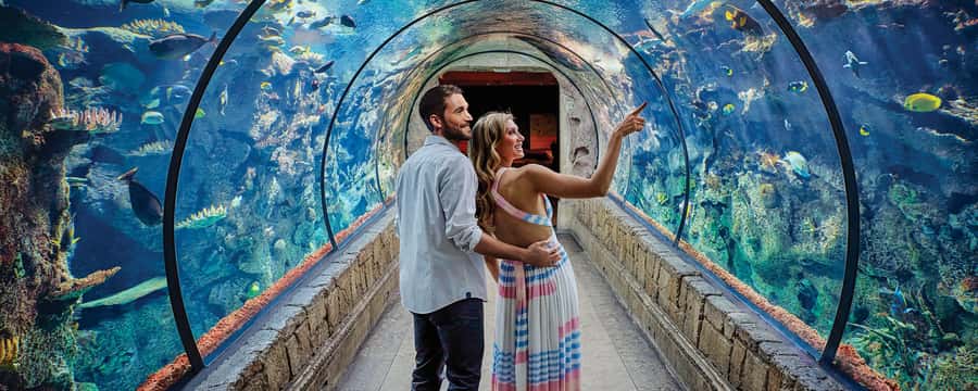 Las Vegas: Shark Reef Aquarium Entry Ticket - The Undersea Explorer VR ride