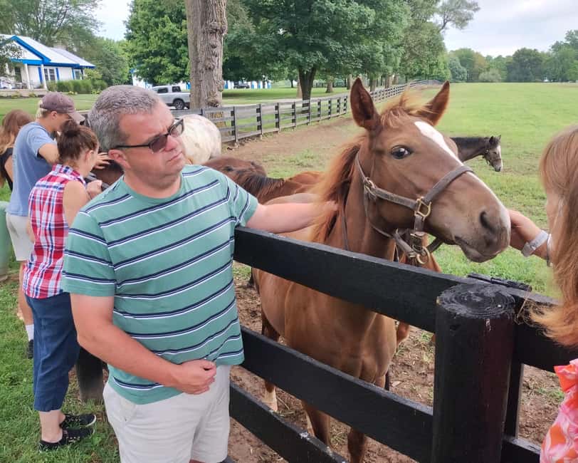 Lexington: Thoroughbred Horse Farm Tour and Scenic Bluegrass - Key points to know before booking