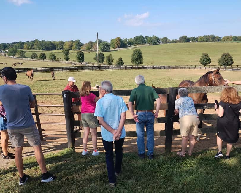 Lexington: Thoroughbred Horse Farm Tour and Scenic Bluegrass - Why Lexington’s horse country deserves a half-day