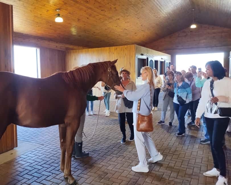 Lexington: Thoroughbred Horse Farm Tour and Scenic Bluegrass - Keeneland, racing history, and movie locations