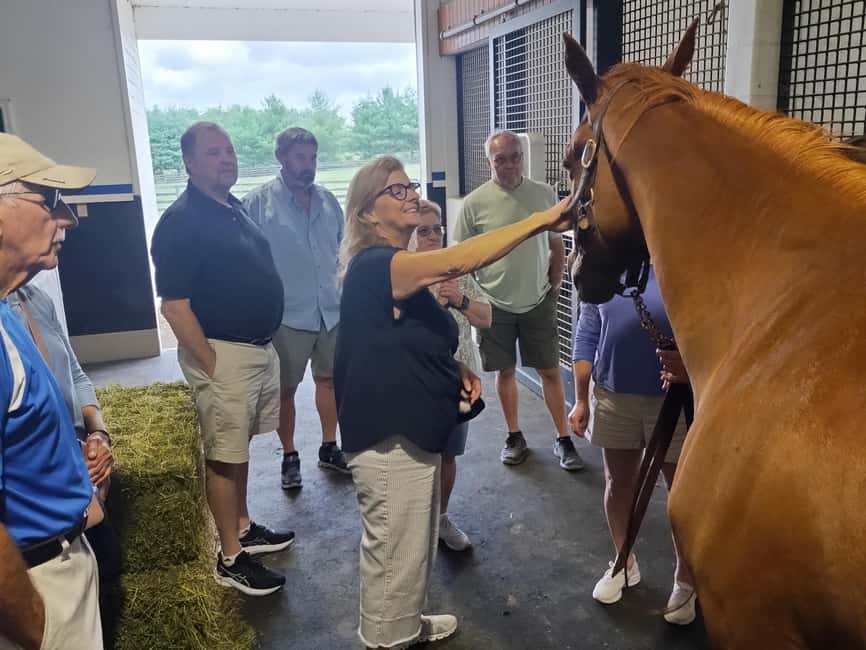 Lexington: Thoroughbred Horse Farm Tour and Scenic Bluegrass - Working farms and horses at close range