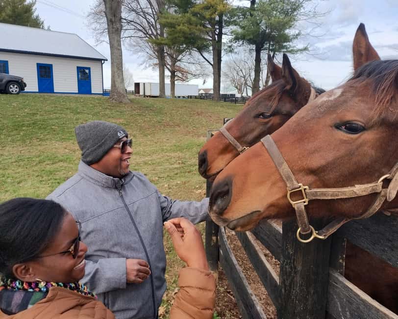 Lexington: Thoroughbred Horse Farm Tour and Scenic Bluegrass - Guides with more than a prepared script