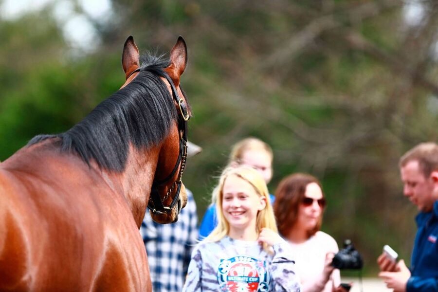 Lexington: Thoroughbred Horse Farm Tour and Scenic Bluegrass - What can change on the day