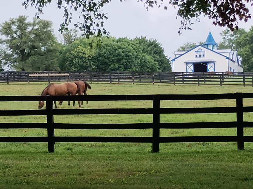 Lexington: Thoroughbred Horse Farm Tour and Scenic Bluegrass - Starting at Waller Avenue