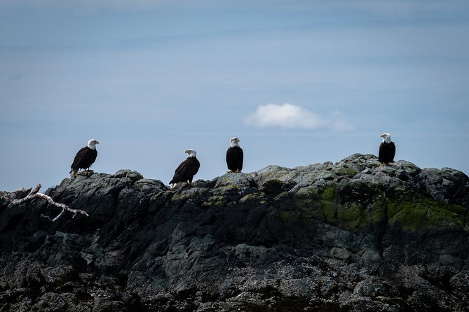 Lighthouse, Totems & Eagles Excursion (Ketchikan) - Key details to know before you book