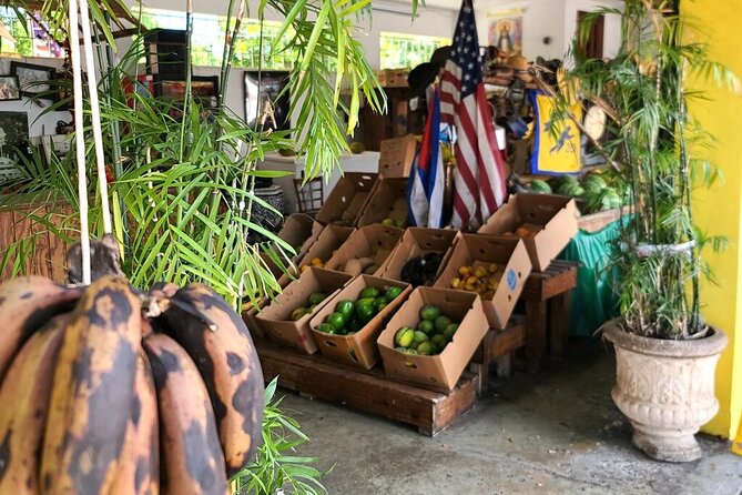 Little Havana: Authentic Food and Culture Walking Tour - Guides are the heart of the experience