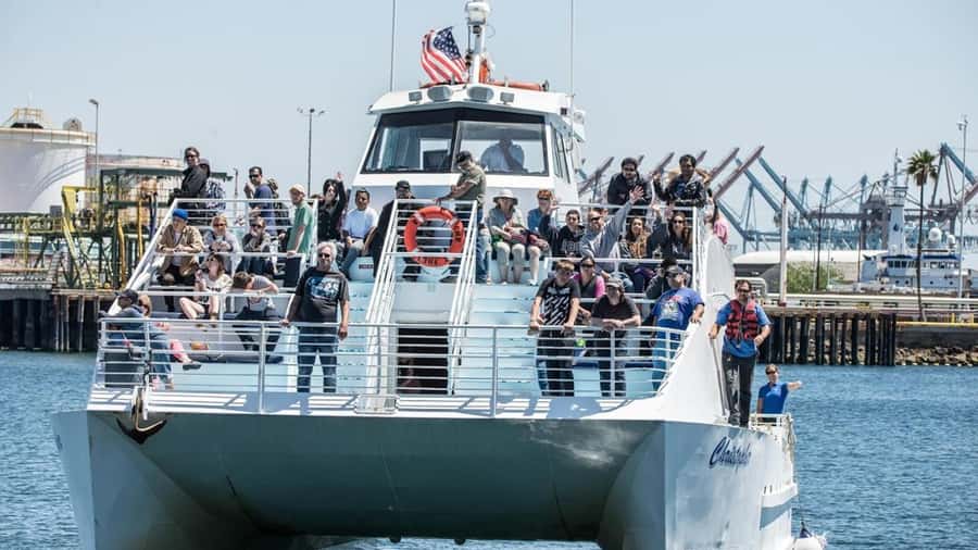 Long Beach: Whale and Dolphin Watching Cruise - Should you book the Harbor Breeze cruise?