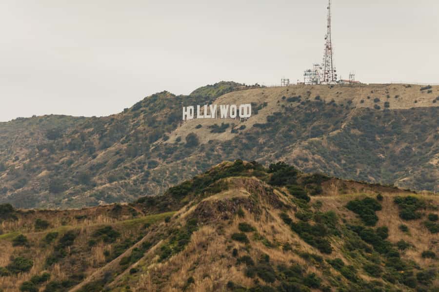 Los Angeles: Half-Day Best of LA Tour - Griffith Observatory and the best view of the day