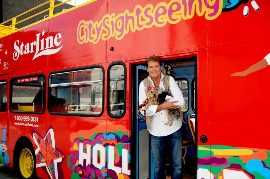 Los Angeles: Hop-On Hop-Off Bus Tour with Audio Guide - Timing your pass around LA traffic