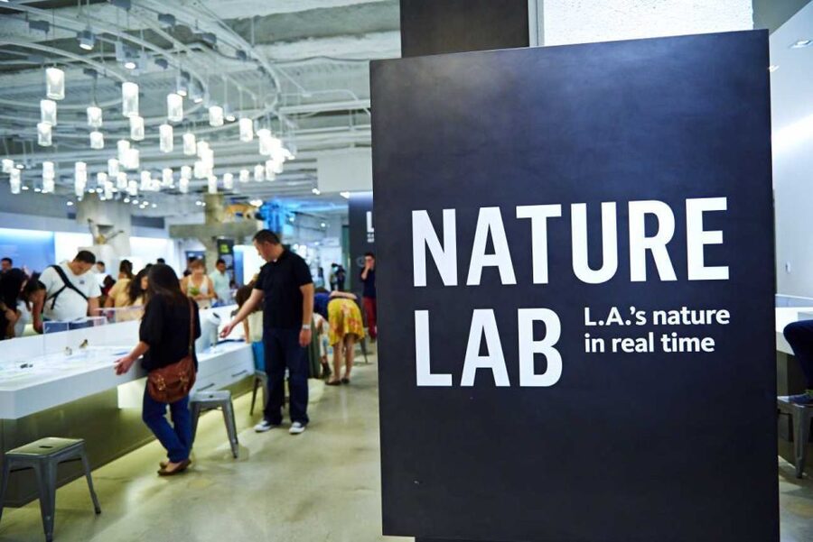 Los Angeles: Natural History Museum of LA Entry Ticket - Should you book the Natural History Museum ticket?