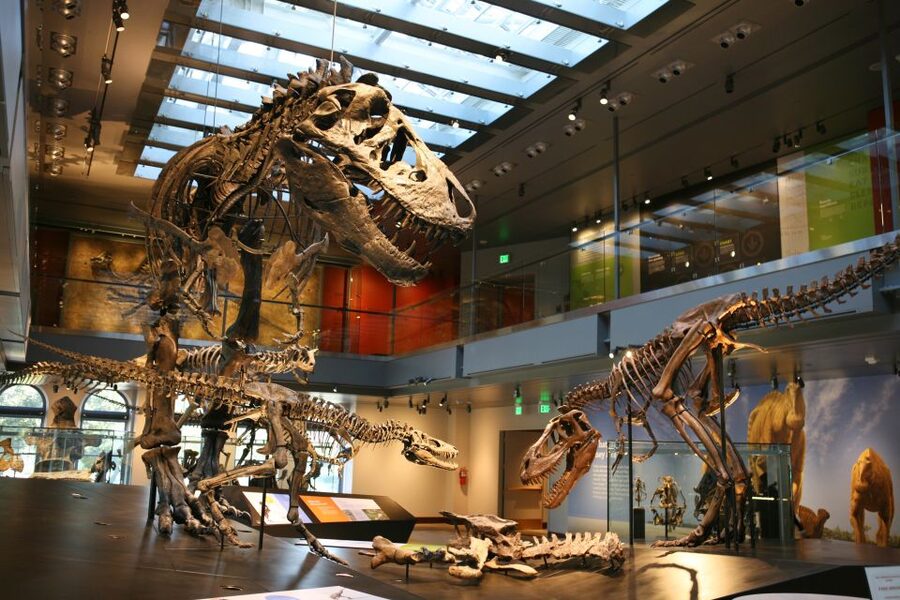 Los Angeles: Natural History Museum of LA Entry Ticket - How long should you plan?