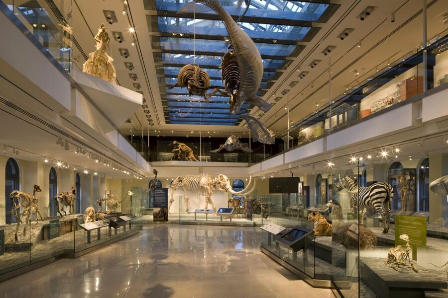 Los Angeles: Natural History Museum of LA Entry Ticket - Who will get the most from this visit?