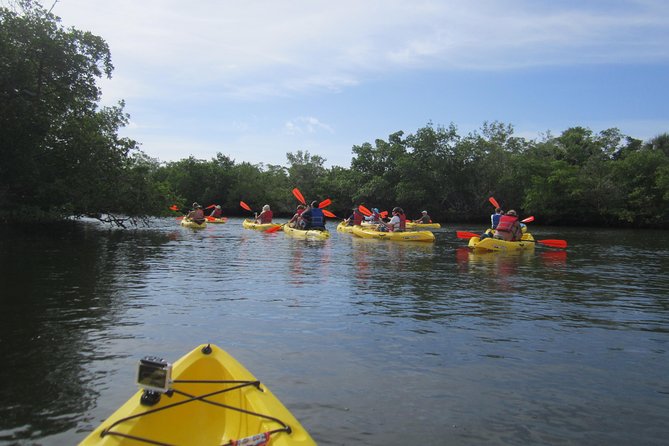 Lovers Key Guided Eco Tour-Mangrove Estuary - Practical comfort and what to bring