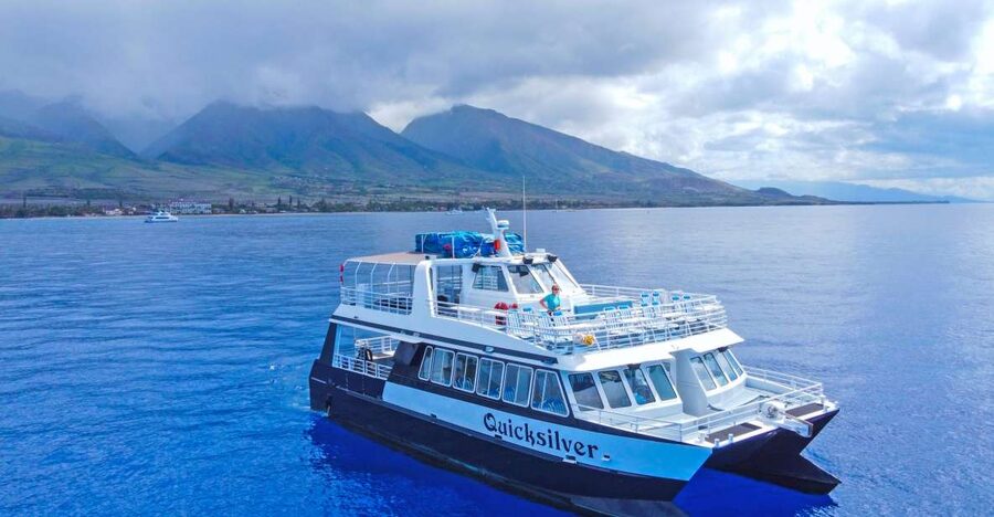 Ma'alaea Harbor: Whale Watching Tour Aboard Power Catamaran - Key points to know before you book