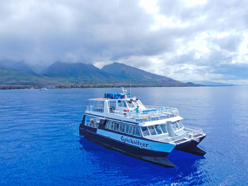 Ma'alaea Harbor: Whale Watching Tour Aboard Power Catamaran - Boarding at Boss Frog’s near the harbor