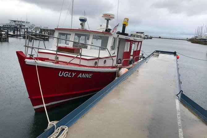 Mackinaw City Sunset Cruise - Drinks and onboard comfort