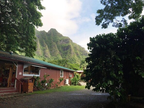 Majestic Circle Island Tour with Lunch - Byodo-In Temple: a calm pause below the Koʻolau range