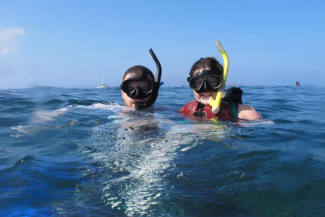 Makena Turtle Town Eco Adventure in Maui - Snorkeling at two sites with turtles and reef life