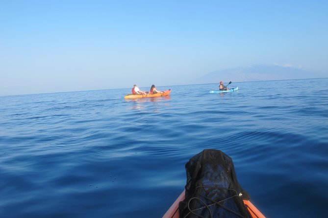 Makena Turtle Town Eco Adventure in Maui - The main drawbacks to weigh
