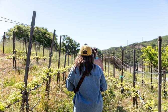 Malibu: Guided Vineyard Hike with Photo Stops and Wine - A Vineyard Walk With More Than Pretty Views