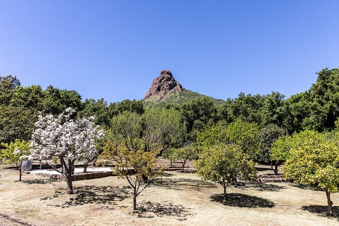 Malibu: Guided Vineyard Hike with Photo Stops and Wine - Photo Stops With Time to Look Around