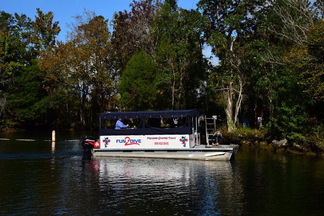 Manatee Snorkel Small Group Tour - A three-hour meeting with Crystal River manatees