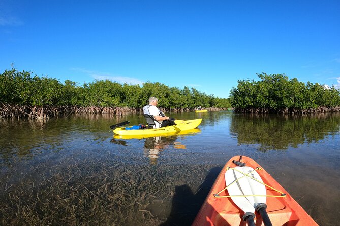Mangrove Tunnel Kayak Adventure in Key Largo - The three-hour route from Florida Bay Outfitters