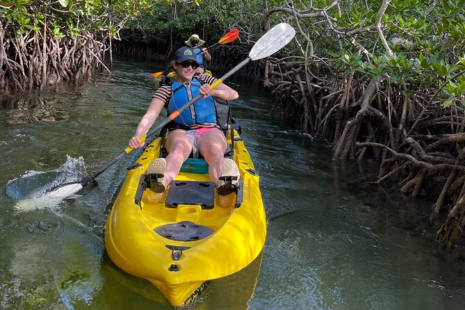 Mangrove Tunnel Kayak Adventure in Key Largo - Families, couples, and first-time kayakers
