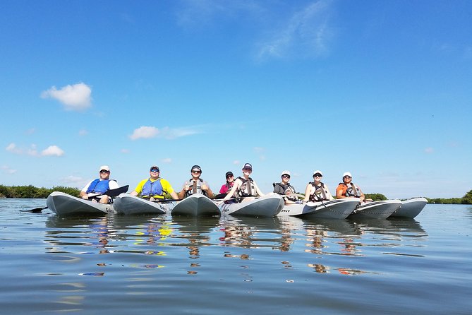 Mangrove Tunnels, Dolphins, Manatee Tour #1 Rated in Cocoa Beach - Entering the mangrove tunnels